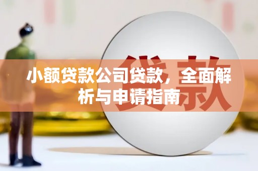孝感小额贷款公司贷款，全面解析与申请指南