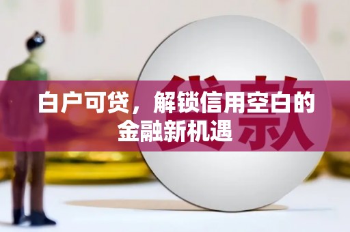 孝感白户可贷，解锁信用空白的金融新机遇