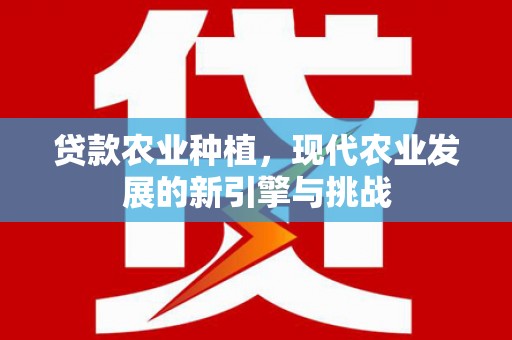 孝感贷款农业种植，现代农业发展的新引擎与挑战