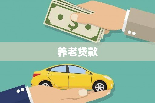 孝感养老贷款