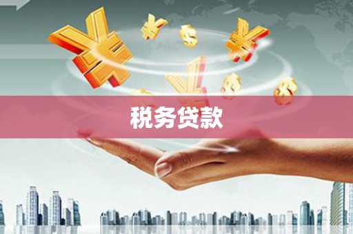 孝感税务贷款