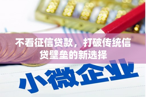 孝感不看征信贷款，打破传统信贷壁垒的新选择