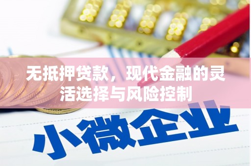 孝感无抵押贷款，现代金融的灵活选择与风险控制