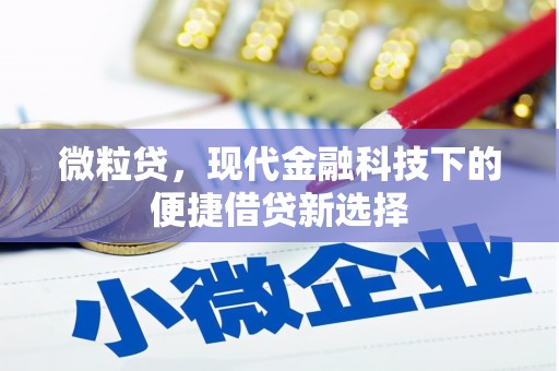 孝感微粒贷，现代金融科技下的便捷借贷新选择