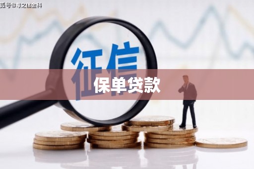 孝感保单贷款