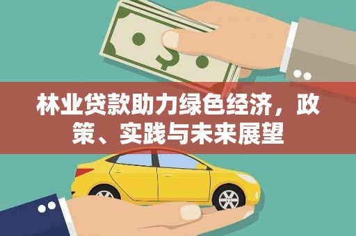 孝感林业贷款助力绿色经济，政策、实践与未来展望