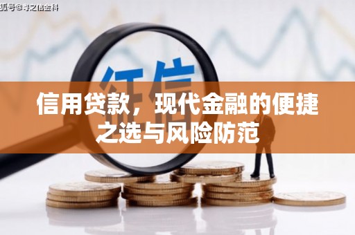 孝感信用贷款，现代金融的便捷之选与风险防范
