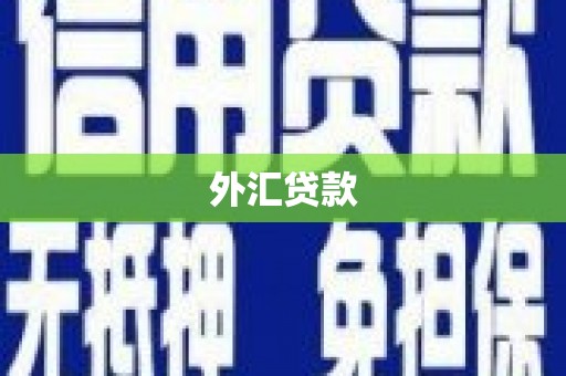 孝感外汇贷款