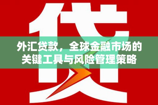 孝感外汇贷款，全球金融市场的关键工具与风险管理策略