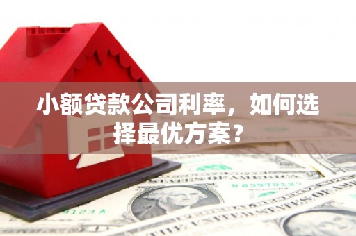 孝感小额贷款公司利率，如何选择最优方案？