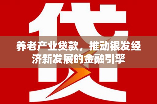 孝感养老产业贷款，推动银发经济新发展的金融引擎