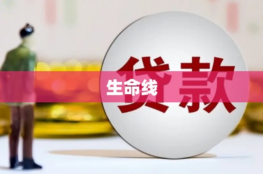 孝感生命线