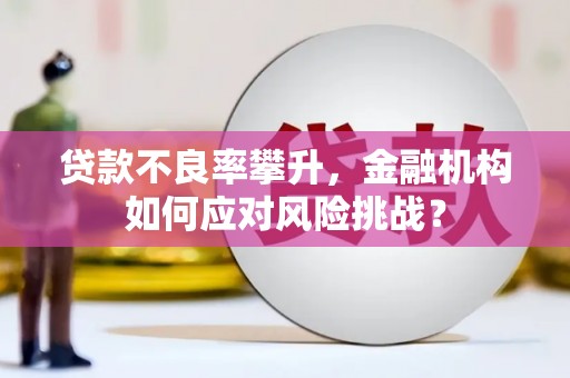 孝感贷款不良率攀升，金融机构如何应对风险挑战？