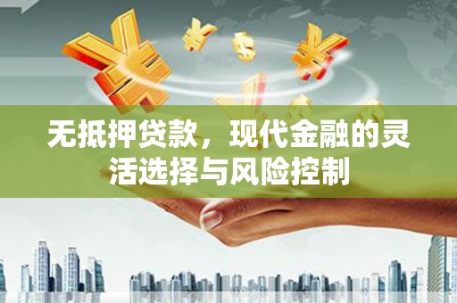 孝感无抵押贷款，现代金融的灵活选择与风险控制