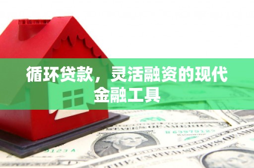 孝感循环贷款，灵活融资的现代金融工具