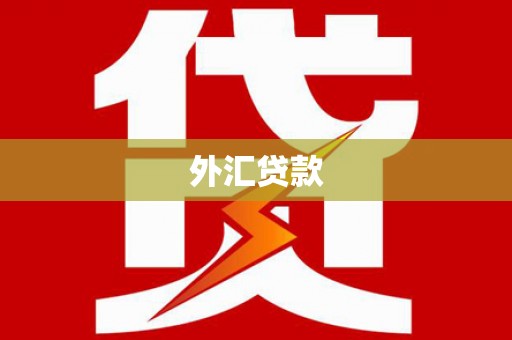 孝感外汇贷款