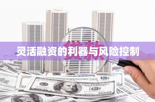 孝感灵活融资的利器与风险控制