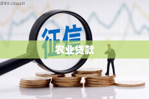 孝感农业贷款