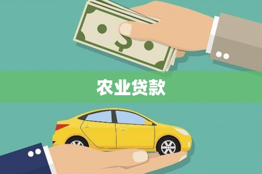 孝感农业贷款