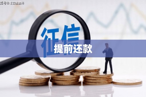 孝感提前还款