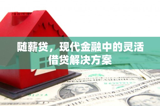 孝感随薪贷，现代金融中的灵活借贷解决方案