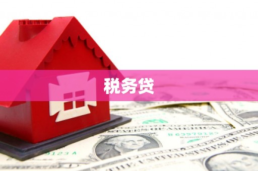 孝感税务贷