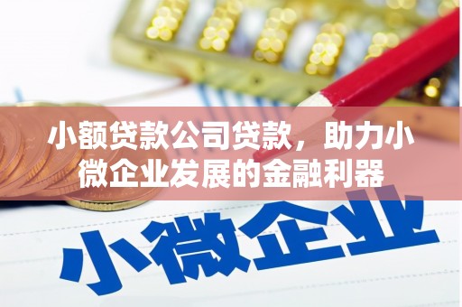 孝感小额贷款公司贷款，助力小微企业发展的金融利器