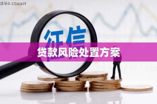 孝感贷款风险处置方案