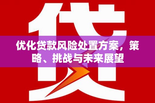 孝感优化贷款风险处置方案，策略、挑战与未来展望