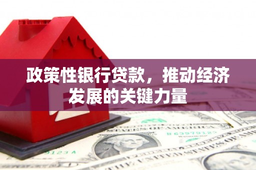 孝感政策性银行贷款，推动经济发展的关键力量