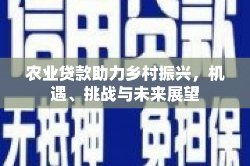 孝感农业贷款助力乡村振兴，机遇、挑战与未来展望