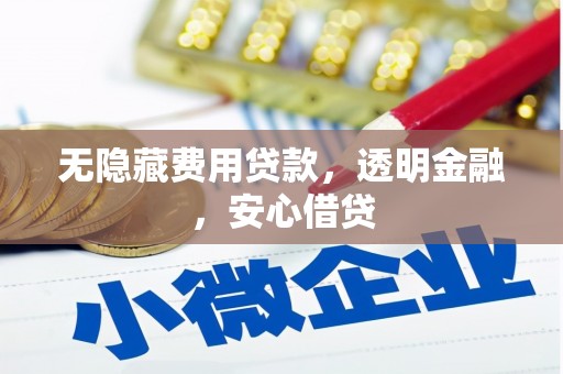 孝感无隐藏费用贷款，透明金融，安心借贷