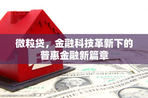 孝感微粒贷，金融科技革新下的普惠金融新篇章