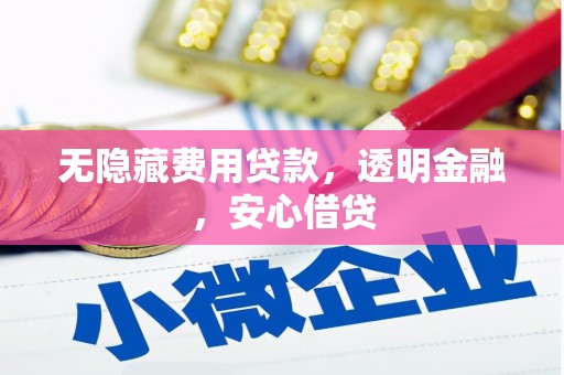 孝感无隐藏费用贷款，透明金融，安心借贷