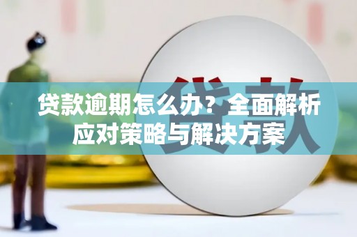 孝感贷款逾期怎么办？全面解析应对策略与解决方案