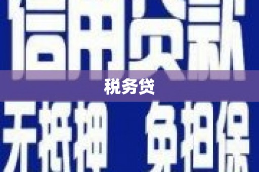 孝感税务贷