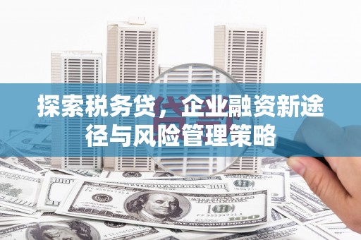 孝感探索税务贷，企业融资新途径与风险管理策略
