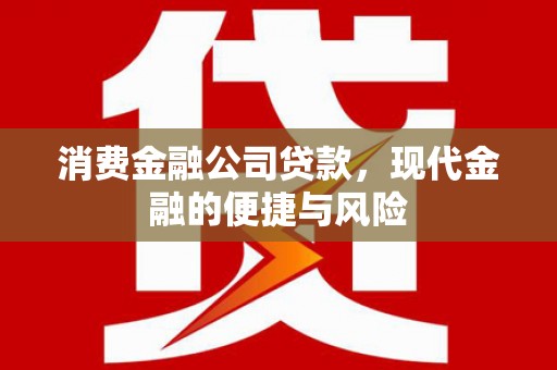 孝感消费金融公司贷款，现代金融的便捷与风险