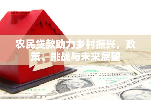 孝感农民贷款助力乡村振兴，政策、挑战与未来展望