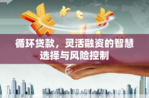 孝感循环贷款，灵活融资的智慧选择与风险控制
