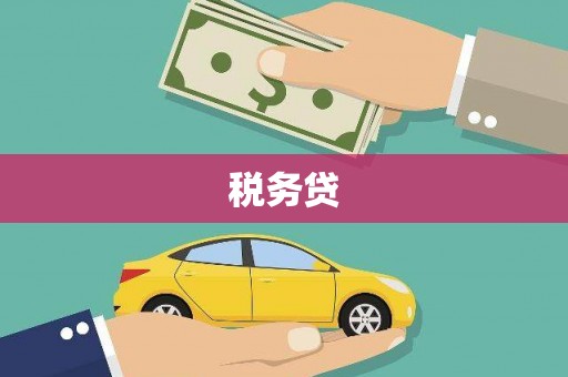 孝感税务贷