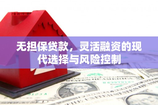 孝感无担保贷款，灵活融资的现代选择与风险控制