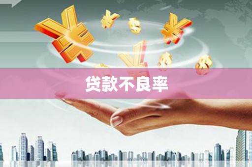 孝感贷款不良率