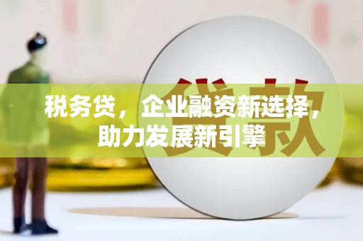 孝感税务贷，企业融资新选择，助力发展新引擎