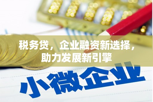 孝感税务贷，企业融资新选择，助力发展新引擎