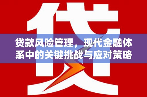 孝感贷款风险管理，现代金融体系中的关键挑战与应对策略