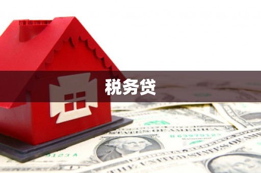 孝感税务贷