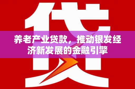 孝感养老产业贷款，推动银发经济新发展的金融引擎
