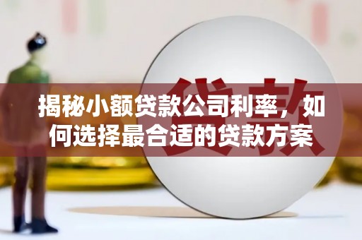 孝感揭秘小额贷款公司利率，如何选择最合适的贷款方案