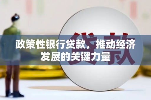 孝感政策性银行贷款，推动经济发展的关键力量